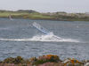 DSC_0101.jpg